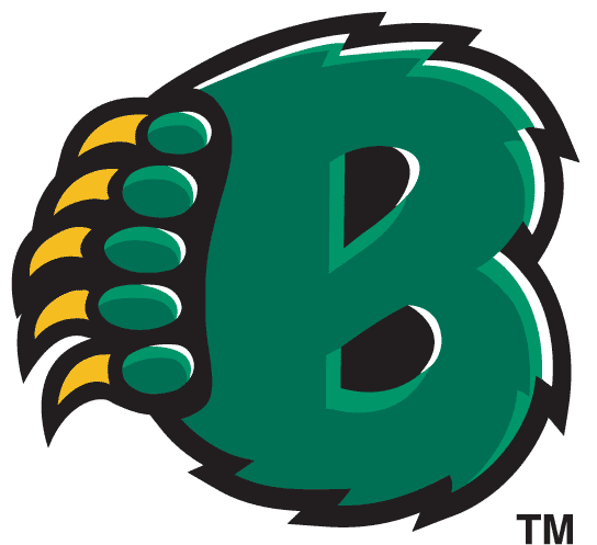Baylor Bears 1997-2004 Alternate Logo v2 iron on transfers for T-shirts
